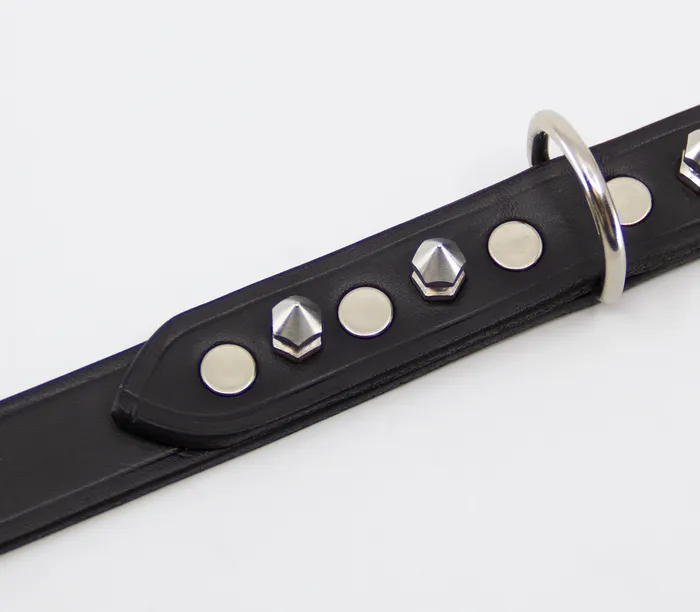 Love in Leather Restraints Love in Leather Unlined Black Leather Collar with Dog Spikes O Ring